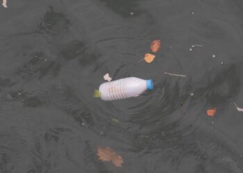 Rhône, Seine, Tamise… les fleuves européens menacés par les microplastiques
