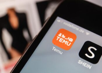 Des illustrateurs dénoncent le plagiat de leurs œuvres par Temu, Shein, AliExpress et Amazon.