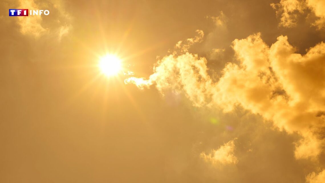 illustration sujet vigilance rouge canicule 561489 0@1x