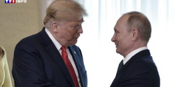 Ukraine : Trump disposé à rencontrer Poutine, malgré le refus de ce dernier de dialoguer avec Zelensky.