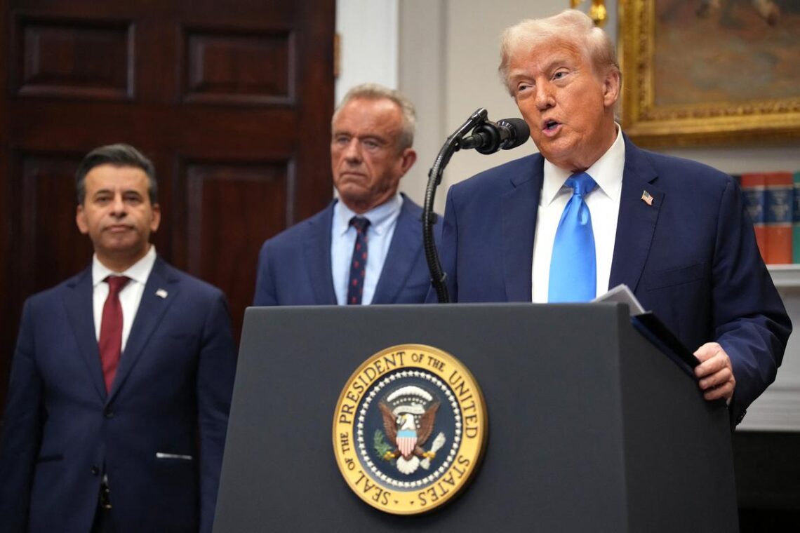 Devrait-on éviter le paracétamol durant la grossesse, comme l'affirme Trump ? Voici les conclusions des scientifiques. 6 28d581d upload 1 4aubl1pmap5o 063 2236805445