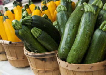 TOP 10 : Recettes de courgettes faciles et délicieuses