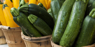 TOP 10 : Recettes de courgettes faciles et délicieuses